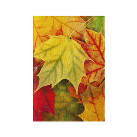 Обложка для паспорта матовая кожа с принтом Кленовые листья в Екатеринбурге, натуральная матовая кожа | размер 19,3 х 13,7 см; прозрачные пластиковые крепления | жёлтый | зелёный | красный | листва | оранжевый | осень