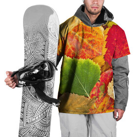 Накидка на куртку 3D с принтом Осень в Екатеринбурге, 100% полиэстер |  | Тематика изображения на принте: берёза | дары осени | жёлтый | зелёный | золотой | краски | красный | красота | листва | листья | наряд | оранжевый | осень | осина | покров | природа