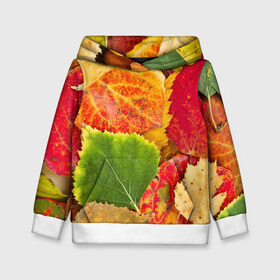 Детская толстовка 3D с принтом Осень в Екатеринбурге, 100% полиэстер | двухслойный капюшон со шнурком для регулировки, мягкие манжеты на рукавах и по низу толстовки, спереди карман-кенгуру с мягким внутренним слоем | берёза | дары осени | жёлтый | зелёный | золотой | краски | красный | красота | листва | листья | наряд | оранжевый | осень | осина | покров | природа