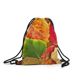 Рюкзак-мешок 3D с принтом Осень в Екатеринбурге, 100% полиэстер | плотность ткани — 200 г/м2, размер — 35 х 45 см; лямки — толстые шнурки, застежка на шнуровке, без карманов и подкладки | Тематика изображения на принте: берёза | дары осени | жёлтый | зелёный | золотой | краски | красный | красота | листва | листья | наряд | оранжевый | осень | осина | покров | природа