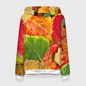 Женская толстовка 3D с принтом Осень в Екатеринбурге, 100% полиэстер  | двухслойный капюшон со шнурком для регулировки, мягкие манжеты на рукавах и по низу толстовки, спереди карман-кенгуру с мягким внутренним слоем. | берёза | дары осени | жёлтый | зелёный | золотой | краски | красный | красота | листва | листья | наряд | оранжевый | осень | осина | покров | природа