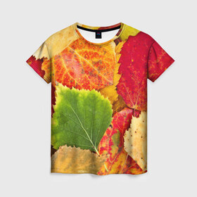 Женская футболка 3D с принтом Осень в Екатеринбурге, 100% полиэфир ( синтетическое хлопкоподобное полотно) | прямой крой, круглый вырез горловины, длина до линии бедер | берёза | дары осени | жёлтый | зелёный | золотой | краски | красный | красота | листва | листья | наряд | оранжевый | осень | осина | покров | природа