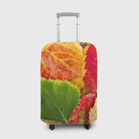 Чехол для чемодана 3D с принтом Осень в Екатеринбурге, 86% полиэфир, 14% спандекс | двустороннее нанесение принта, прорези для ручек и колес | берёза | дары осени | жёлтый | зелёный | золотой | краски | красный | красота | листва | листья | наряд | оранжевый | осень | осина | покров | природа