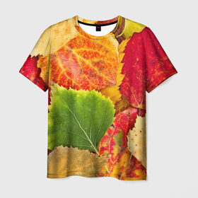 Мужская футболка 3D с принтом Осень в Екатеринбурге, 100% полиэфир | прямой крой, круглый вырез горловины, длина до линии бедер | Тематика изображения на принте: берёза | дары осени | жёлтый | зелёный | золотой | краски | красный | красота | листва | листья | наряд | оранжевый | осень | осина | покров | природа