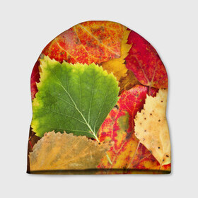 Шапка 3D с принтом Осень в Екатеринбурге, 100% полиэстер | универсальный размер, печать по всей поверхности изделия | Тематика изображения на принте: берёза | дары осени | жёлтый | зелёный | золотой | краски | красный | красота | листва | листья | наряд | оранжевый | осень | осина | покров | природа
