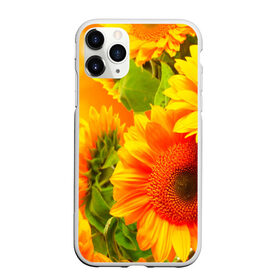 Чехол для iPhone 11 Pro матовый с принтом Подсолнух в Екатеринбурге, Силикон |  | желтая | подсолнух | поле | природа | цветы