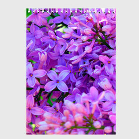 Скетчбук с принтом Сирень в Екатеринбурге, 100% бумага
 | 48 листов, плотность листов — 100 г/м2, плотность картонной обложки — 250 г/м2. Листы скреплены сверху удобной пружинной спиралью | весна | красота | сирень | цветы