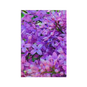 Обложка для паспорта матовая кожа с принтом Сирень в Екатеринбурге, натуральная матовая кожа | размер 19,3 х 13,7 см; прозрачные пластиковые крепления | Тематика изображения на принте: весна | красота | сирень | цветы