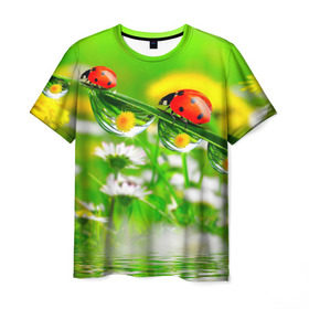 Мужская футболка 3D с принтом Макро в Екатеринбурге, 100% полиэфир | прямой крой, круглый вырез горловины, длина до линии бедер | божья коровка | насекомые | одуванчик | природа | цветы