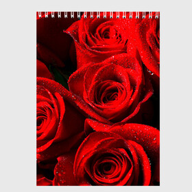 Скетчбук с принтом Розы в Екатеринбурге, 100% бумага
 | 48 листов, плотность листов — 100 г/м2, плотность картонной обложки — 250 г/м2. Листы скреплены сверху удобной пружинной спиралью | красная | роза | роса | цветок