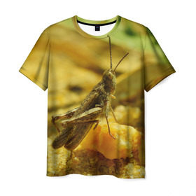 Мужская футболка 3D с принтом Кузнечик в Екатеринбурге, 100% полиэфир | прямой крой, круглый вырез горловины, длина до линии бедер | кузнечик | насекомые