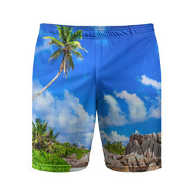 Мужские шорты 3D спортивные с принтом Сейшельские острова в Екатеринбурге,  |  | seychelles | восточная африка | индийский океан | каникулы | море | островное государство | отдых | отпуск | пальмы | песок | пляж | приключение | путешествие | рай | сейшелы | сейшельские острова | туризм