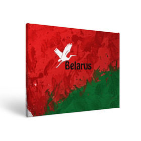 Холст прямоугольный с принтом Belarus 2 в Екатеринбурге, 100% ПВХ |  | belarus | беларусь