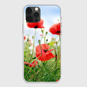 Чехол для iPhone 12 Pro Max с принтом Дикий мак в Екатеринбурге, Силикон |  | зелень | лето | луг | лужайка | мак | небо | облака | поле | полевые цветы | природа | растения | растительность
