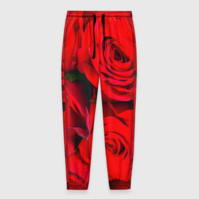 Мужские брюки 3D с принтом Розы в Екатеринбурге, 100% полиэстер | манжеты по низу, эластичный пояс регулируется шнурком, по бокам два кармана без застежек, внутренняя часть кармана из мелкой сетки | букет | красная | лепестки | роза | цветы