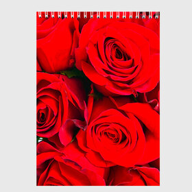 Скетчбук с принтом Розы в Екатеринбурге, 100% бумага
 | 48 листов, плотность листов — 100 г/м2, плотность картонной обложки — 250 г/м2. Листы скреплены сверху удобной пружинной спиралью | букет | красная | лепестки | роза | цветы