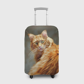 Чехол для чемодана 3D с принтом Рыжий в Екатеринбурге, 86% полиэфир, 14% спандекс | двустороннее нанесение принта, прорези для ручек и колес | cat | кот | кошка | рыжий
