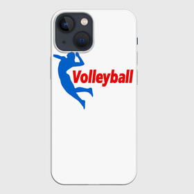 Чехол для iPhone 13 mini с принтом Волейбол 31 в Екатеринбурге,  |  | volleyball | волейбол