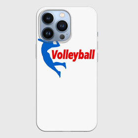 Чехол для iPhone 13 Pro с принтом Волейбол 31 в Екатеринбурге,  |  | volleyball | волейбол