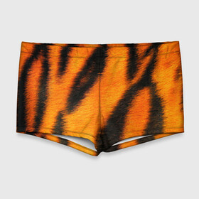 Мужские купальные плавки 3D с принтом Шкура тигра в Екатеринбурге, Полиэстер 85%, Спандекс 15% |  | кошка | полосатая | текстуры | тигр