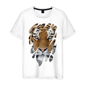 Мужская футболка хлопок с принтом Ярость тигра в Екатеринбурге, 100% хлопок | прямой крой, круглый вырез горловины, длина до линии бедер, слегка спущенное плечо. | tiger | дикая кошка | тигр | хищник