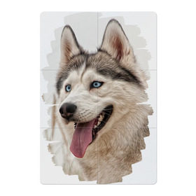 Магнитный плакат 2Х3 с принтом Симпотяга волк в Екатеринбурге, Полимерный материал с магнитным слоем | 6 деталей размером 9*9 см | зверь | серый | хаски | хаски бандит