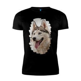 Мужская футболка премиум с принтом Симпотяга волк в Екатеринбурге, 92% хлопок, 8% лайкра | приталенный силуэт, круглый вырез ворота, длина до линии бедра, короткий рукав | зверь | серый | хаски | хаски бандит