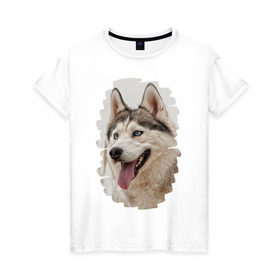 Женская футболка хлопок с принтом Симпотяга волк в Екатеринбурге, 100% хлопок | прямой крой, круглый вырез горловины, длина до линии бедер, слегка спущенное плечо | зверь | серый | хаски | хаски бандит