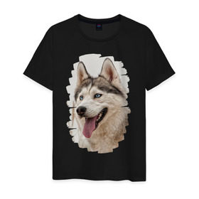 Мужская футболка хлопок с принтом Симпотяга волк в Екатеринбурге, 100% хлопок | прямой крой, круглый вырез горловины, длина до линии бедер, слегка спущенное плечо. | зверь | серый | хаски | хаски бандит