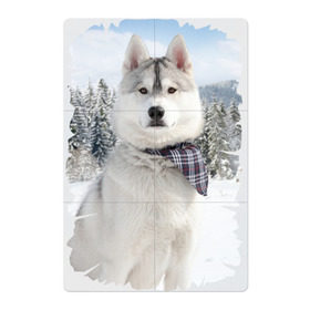 Магнитный плакат 2Х3 с принтом Волк в зимнем лесу в Екатеринбурге, Полимерный материал с магнитным слоем | 6 деталей размером 9*9 см | серый | хаски