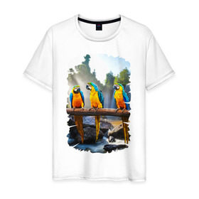Мужская футболка хлопок с принтом Попугаи на ветке в Екатеринбурге, 100% хлопок | прямой крой, круглый вырез горловины, длина до линии бедер, слегка спущенное плечо. | джунгли | клюв | острова | перья | попугай | птица | тропики | экзотика