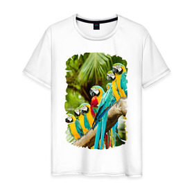Мужская футболка хлопок с принтом Экзотические попугаи в Екатеринбурге, 100% хлопок | прямой крой, круглый вырез горловины, длина до линии бедер, слегка спущенное плечо. | Тематика изображения на принте: джунгли | клюв | острова | перья | попугай | птица | тропики | экзотика