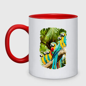 Кружка двухцветная с принтом Экзотические попугаи в Екатеринбурге, керамика | объем — 330 мл, диаметр — 80 мм. Цветная ручка и кайма сверху, в некоторых цветах — вся внутренняя часть | джунгли | клюв | острова | перья | попугай | птица | тропики | экзотика
