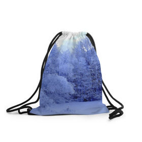 Рюкзак-мешок 3D с принтом Зима в Екатеринбурге, 100% полиэстер | плотность ткани — 200 г/м2, размер — 35 х 45 см; лямки — толстые шнурки, застежка на шнуровке, без карманов и подкладки | деревья | природа | синий | снег | снежный