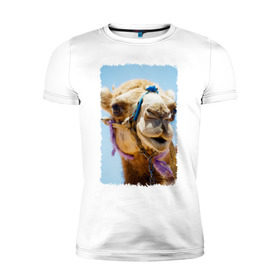 Мужская футболка премиум с принтом Верблюд в Екатеринбурге, 92% хлопок, 8% лайкра | приталенный силуэт, круглый вырез ворота, длина до линии бедра, короткий рукав | верблюд | горб | животное | караван | песок | плевок | пустыня