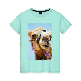 Женская футболка хлопок с принтом Верблюд в Екатеринбурге, 100% хлопок | прямой крой, круглый вырез горловины, длина до линии бедер, слегка спущенное плечо | верблюд | горб | животное | караван | песок | плевок | пустыня