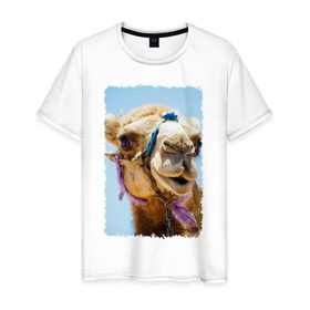 Мужская футболка хлопок с принтом Верблюд в Екатеринбурге, 100% хлопок | прямой крой, круглый вырез горловины, длина до линии бедер, слегка спущенное плечо. | верблюд | горб | животное | караван | песок | плевок | пустыня