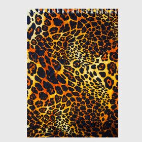 Скетчбук с принтом Леопард в Екатеринбурге, 100% бумага
 | 48 листов, плотность листов — 100 г/м2, плотность картонной обложки — 250 г/м2. Листы скреплены сверху удобной пружинной спиралью | 3д | животные | кошка | леопард | новая | хищник