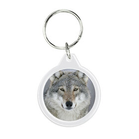 Брелок круглый с принтом Добрый волк в Екатеринбурге, пластик и полированная сталь | круглая форма, металлическое крепление в виде кольца | взгляд | волк | волки | оскал