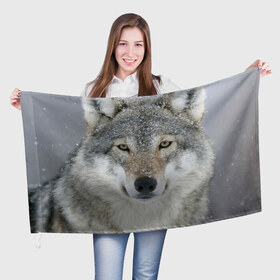 Флаг 3D с принтом Добрый волк в Екатеринбурге, 100% полиэстер | плотность ткани — 95 г/м2, размер — 67 х 109 см. Принт наносится с одной стороны | взгляд | волк | волки | оскал