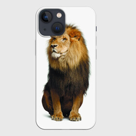 Чехол для iPhone 13 mini с принтом Король джунглей в Екатеринбурге,  |  | leo | lion | власть | грива | дикая кошка | животное | зверь | клыки | когти | король джунглей | лев | мощь | мудрость | охотник | сила | хитрость | хищник | царь зверей | шерсть