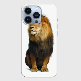 Чехол для iPhone 13 Pro с принтом Король джунглей в Екатеринбурге,  |  | leo | lion | власть | грива | дикая кошка | животное | зверь | клыки | когти | король джунглей | лев | мощь | мудрость | охотник | сила | хитрость | хищник | царь зверей | шерсть