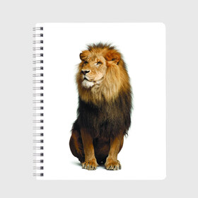 Тетрадь с принтом Король джунглей в Екатеринбурге, 100% бумага | 48 листов, плотность листов — 60 г/м2, плотность картонной обложки — 250 г/м2. Листы скреплены сбоку удобной пружинной спиралью. Уголки страниц и обложки скругленные. Цвет линий — светло-серый
 | leo | lion | власть | грива | дикая кошка | животное | зверь | клыки | когти | король джунглей | лев | мощь | мудрость | охотник | сила | хитрость | хищник | царь зверей | шерсть