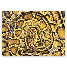 Поздравительная открытка с принтом Змея в Екатеринбурге, 100% бумага | плотность бумаги 280 г/м2, матовая, на обратной стороне линовка и место для марки
 | snake | анаконда | гадюка | змеиная | змея | кобра | кожа | кожура | удав | уж | червь | червяк | яд