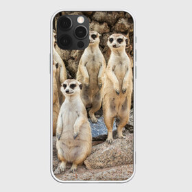 Чехол для iPhone 12 Pro Max с принтом Сурикаты в Екатеринбурге, Силикон |  | животное | зверёк | калахари | мангуст | млекопитающее | сурикат | южная африка