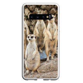 Чехол для Samsung Galaxy S10 с принтом Сурикаты в Екатеринбурге, Силикон | Область печати: задняя сторона чехла, без боковых панелей | животное | зверёк | калахари | мангуст | млекопитающее | сурикат | южная африка