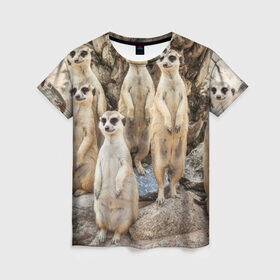 Женская футболка 3D с принтом Сурикаты в Екатеринбурге, 100% полиэфир ( синтетическое хлопкоподобное полотно) | прямой крой, круглый вырез горловины, длина до линии бедер | животное | зверёк | калахари | мангуст | млекопитающее | сурикат | южная африка