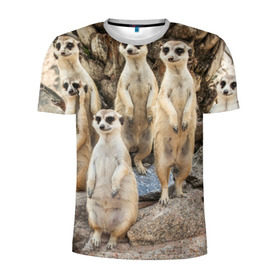 Мужская футболка 3D спортивная с принтом Сурикаты в Екатеринбурге, 100% полиэстер с улучшенными характеристиками | приталенный силуэт, круглая горловина, широкие плечи, сужается к линии бедра | животное | зверёк | калахари | мангуст | млекопитающее | сурикат | южная африка