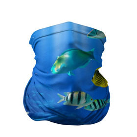 Бандана-труба 3D с принтом Дайвинг в Екатеринбурге, 100% полиэстер, ткань с особыми свойствами — Activecool | плотность 150‒180 г/м2; хорошо тянется, но сохраняет форму | дайвинг | египет | каникулы | коралловый риф | крабы | красное море | море | морские обитатели | океан | отдых | отпуск | подводные красоты | приключение | рыбки | рыбы | туризм