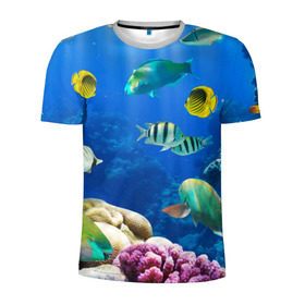 Мужская футболка 3D спортивная с принтом Дайвинг в Екатеринбурге, 100% полиэстер с улучшенными характеристиками | приталенный силуэт, круглая горловина, широкие плечи, сужается к линии бедра | дайвинг | египет | каникулы | коралловый риф | крабы | красное море | море | морские обитатели | океан | отдых | отпуск | подводные красоты | приключение | рыбки | рыбы | туризм
